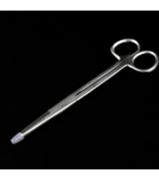 !INSc  Scissors Mayo